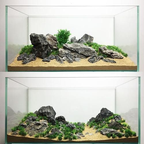 龍魚缸造景圖片高清 龍魚缸造景圖片高清 龍魚百科 第34張