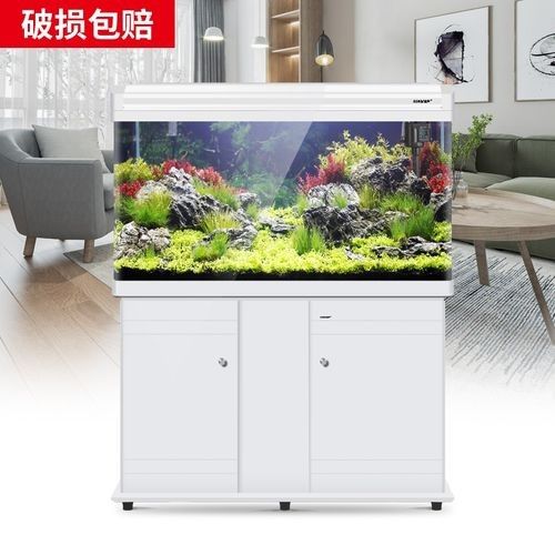 龍魚缸造景圖片高清 龍魚缸造景圖片高清 龍魚百科 第42張