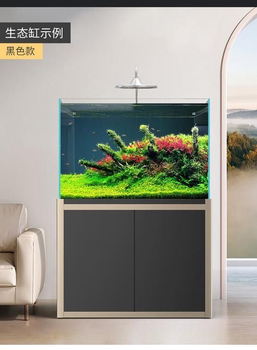 龍魚缸造景圖片高清 龍魚缸造景圖片高清 龍魚百科 第44張