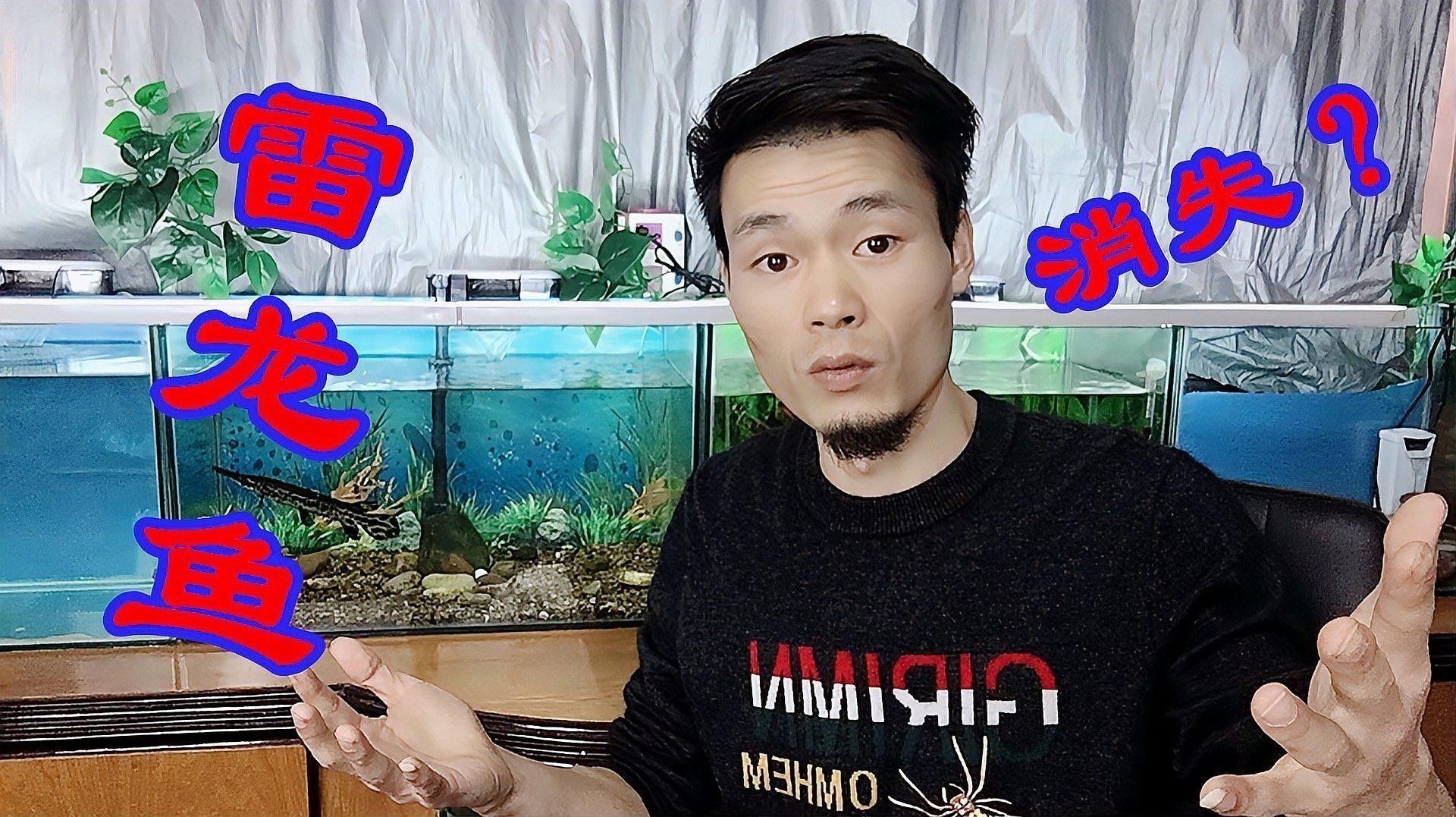 如何判斷彩虹雷龍魚是否吃飽？