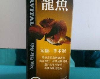 龍魚腸炎藥，龍魚腸炎的早期癥狀有哪些 龍魚腸炎藥，龍魚腸炎的早期癥狀有哪些 龍魚百科 第5張