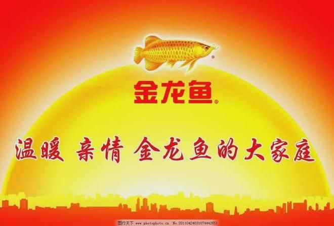 揭陽觀賞魚養(yǎng)殖員招聘網(wǎng)站（揭陽市觀賞魚批發(fā)市場）