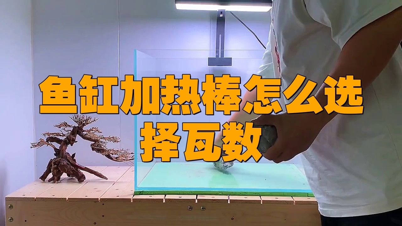 繁殖缸需要多大功率的加熱器？