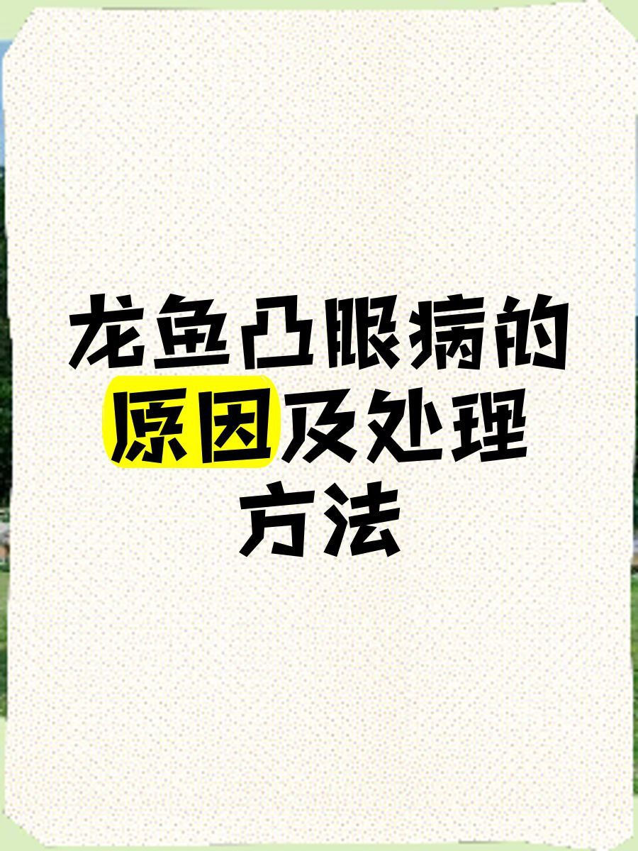 龍魚眼睛上凸起要警惕