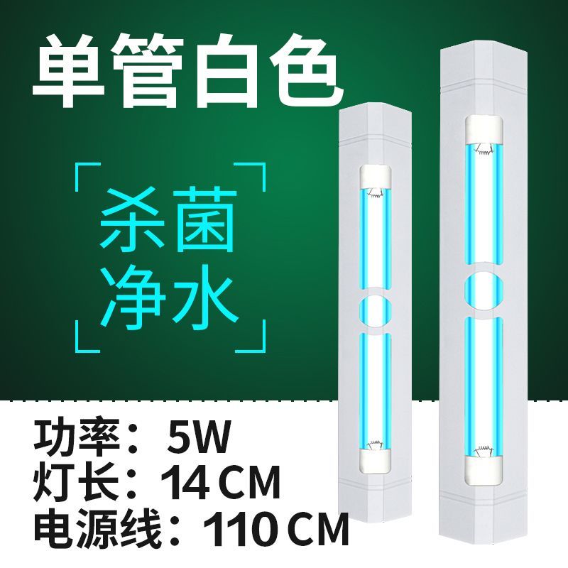 金頭龜和龍魚怎么混養的呢：金頭龜與龍魚混養指南，打造和諧共生的水族箱環境