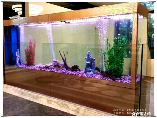 龍魚缸里能放沉木嗎：沉木在龍魚缸中的作用