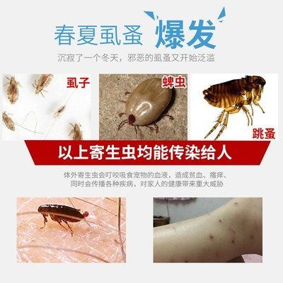 如何預防雷龍魚感染寄生蟲：如何有效預防雷龍魚感染寄生蟲