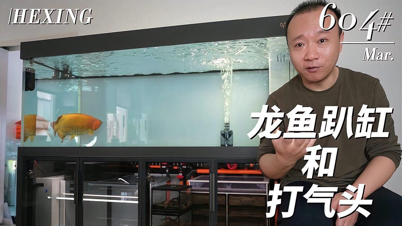 龍魚總趴缸是怎么回事啊