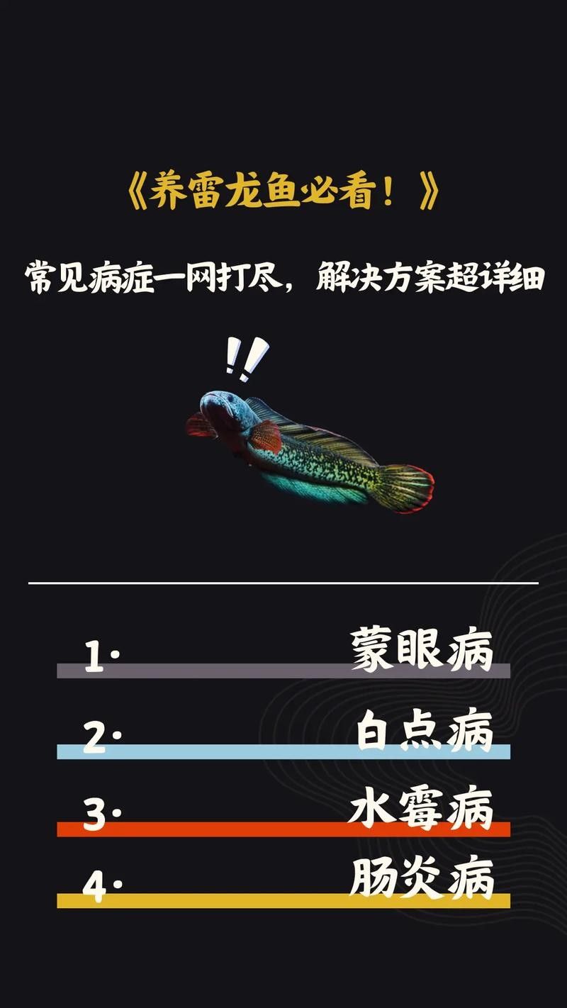 雷龍魚身上有白色絮狀物圖片大全