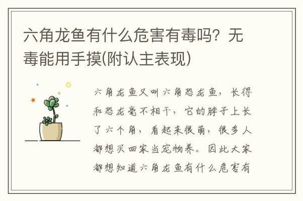 六角恐龍魚的飼料其他動物可以吃嗎有毒嗎：六角恐龍魚飼料對其他動物是否有毒
