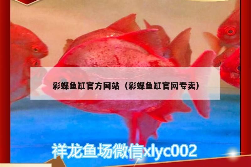彩蝶魚缸官方網站（彩蝶魚缸官網專賣）