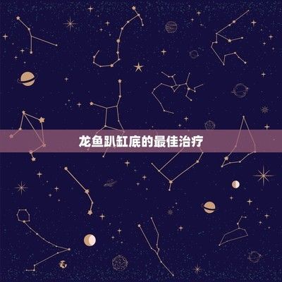 龍魚一會趴缸一會游來游去怎么辦呀：龍魚一會趴缸一會游去的行為可能由多種原因引起