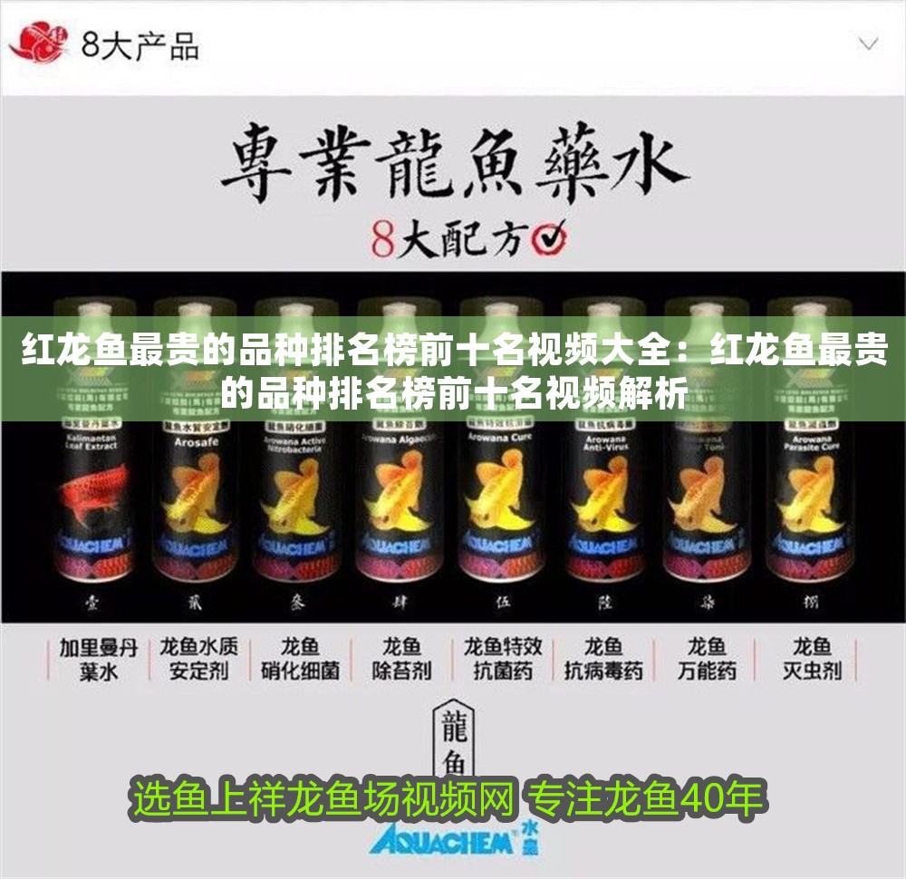 紅龍魚最貴的品種排名榜前十名視頻大全：紅龍魚最貴的品種排名榜前十名視頻解析 紅龍魚最貴的品種排名榜前十名視頻大全：紅龍魚最貴的品種排名榜前十名視頻解析 龍魚百科 第1張