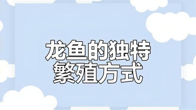 龍魚產卵后多久孵化出小魚？