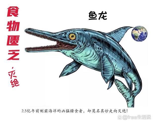 魚龍真實圖片