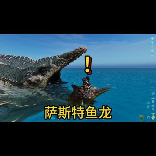 魚龍真實圖片
