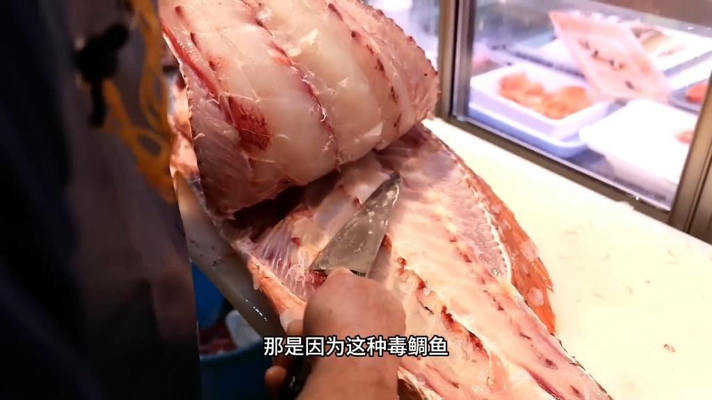 酷似河豚有毒的魚(yú)