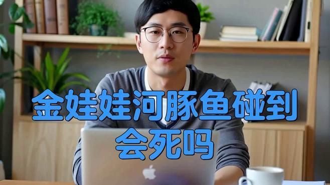 酷似河豚有毒的魚