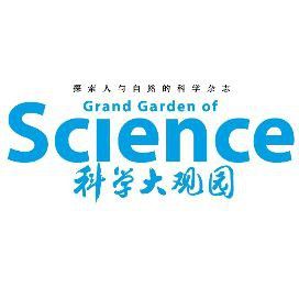 魚龍真實圖片