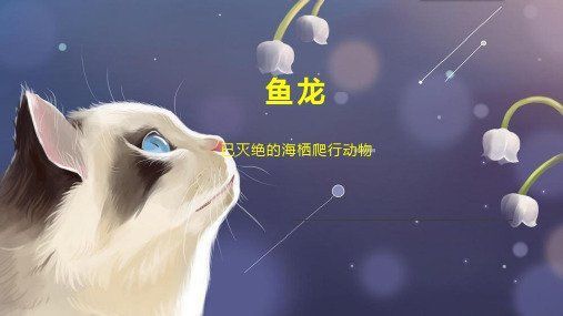 魚龍真實圖片