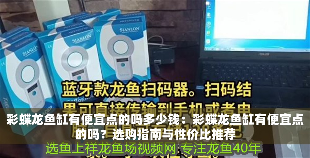 彩蝶龍魚缸有便宜點的嗎多少錢：彩蝶龍魚缸有便宜點的嗎？選購指南與性價比推薦
