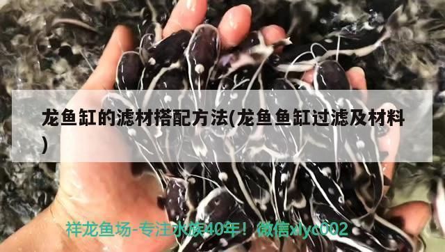 龍魚過濾材料怎么搭配：龍魚過濾材料的搭配