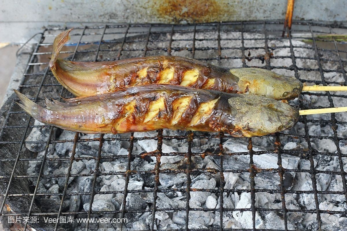 龍魚好不好養，為什么龍魚相對較難飼養，龍魚的飼養難度并不高，原因在這 龍魚好不好養，為什么龍魚相對較難飼養，龍魚的飼養難度并不高，原因在這 龍魚百科 第4張
