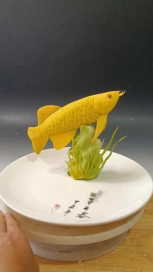金龍魚圖案擺盤大全