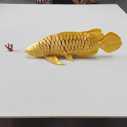 金龍魚圖案擺盤大全