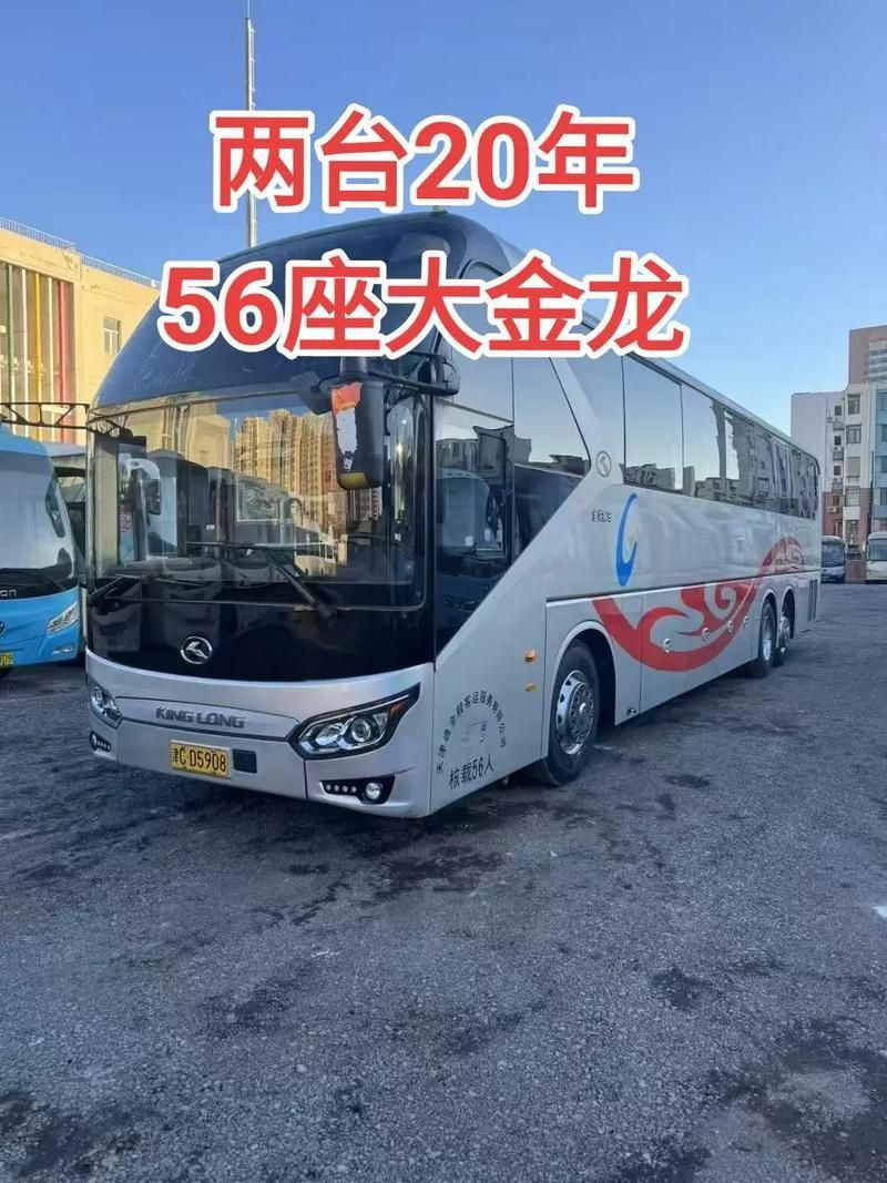賽級金龍價格表和圖片 龍魚百科 第19張 賽級金龍價格表和圖片 賽級金龍價格表和圖片 龍魚百科 第19張