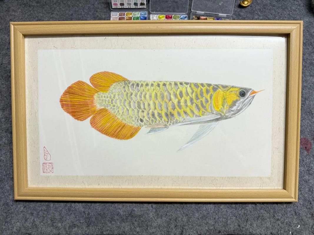 金龍魚手繪圖片高清