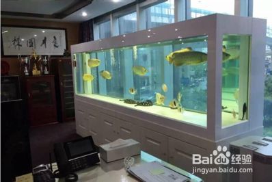 龍魚缸的ph在多少正常值：龍魚缸ph值6.5到7.5到7.5之間是正常的