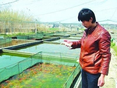 龍魚養(yǎng)殖水質(zhì)各項指標:養(yǎng)殖龍魚的注意事項 龍魚百科 第2張 龍魚養(yǎng)殖水質(zhì)各項指標:養(yǎng)殖龍魚的注意事項 龍魚養(yǎng)殖水質(zhì)各項指標:養(yǎng)殖龍魚的注意事項 龍魚百科 第2張