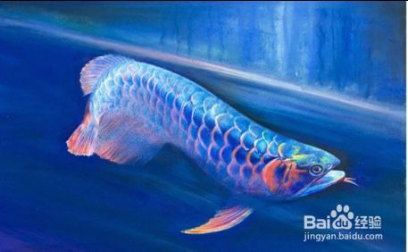 龍魚缸水質要求標準：龍魚缸水溫控制技巧龍魚缸水溫控制技巧