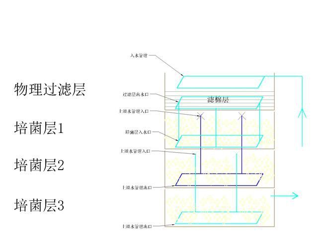 新手養銀龍魚怎么養水好