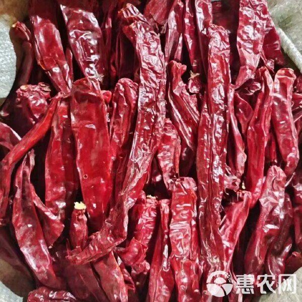 紅龍23辣椒的市場價格如何？ 紅龍23辣椒的市場價格如何？ 龍魚百科 第1張