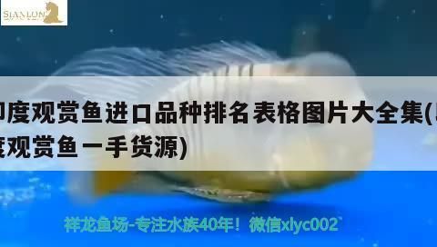 魚缸水泵質量排行榜，魚缸水泵品牌性價比對比