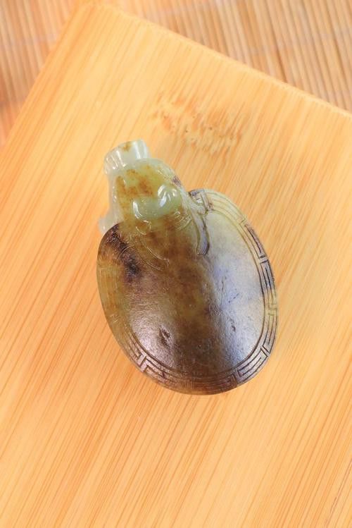 給我推薦一些性價比高的龍龜圖片