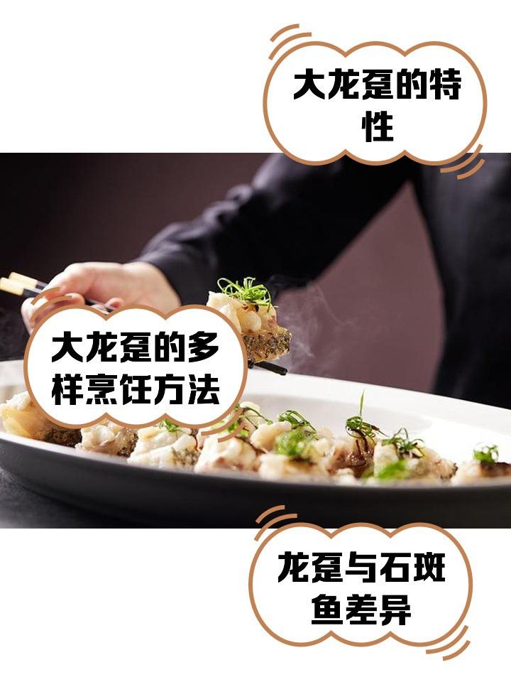 巨石斑魚叫龍魚嗎
