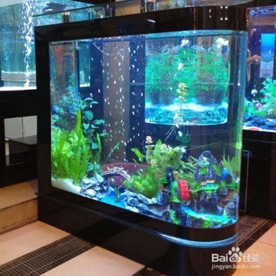 紅龍魚缸底色怎么調顏色視頻（紅龍魚缸底色怎么調顏色視頻教程）