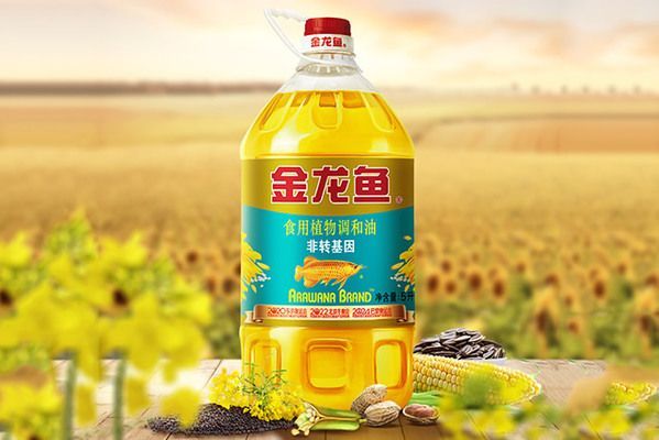 金龍魚有哪幾種型號的（金龍魚品種介紹）