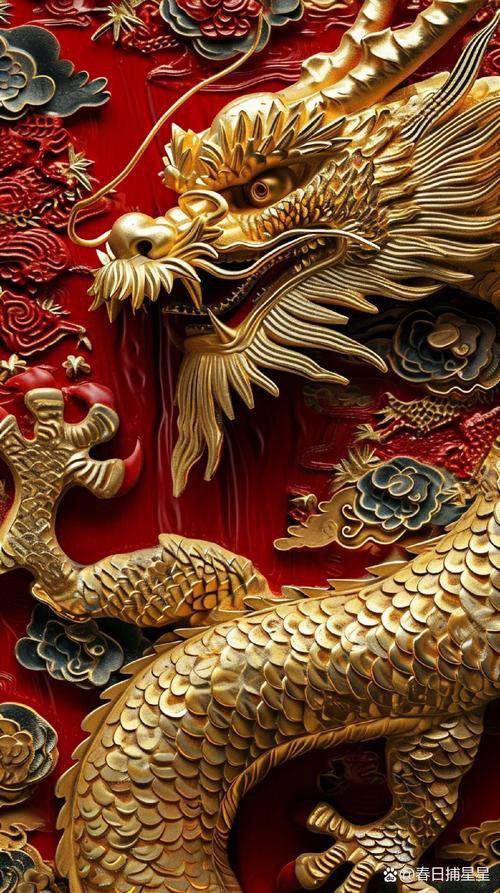 哪里可以找到高清的金龍圖片？