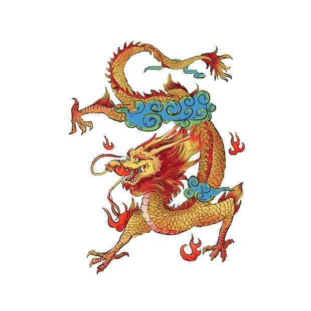 哪里可以找到高清的金龍圖片？