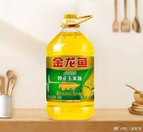 金龍魚來自哪個國家 金龍魚來自哪個國家 龍魚百科 第11張