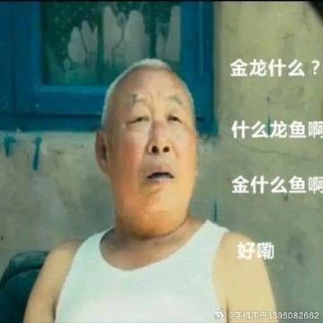 金龍魚來自哪個國家 金龍魚來自哪個國家 龍魚百科 第14張