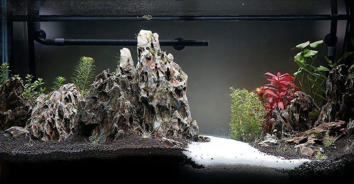 買水族箱還是玻璃魚缸