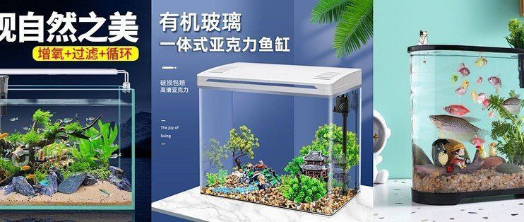 買水族箱還是玻璃魚缸