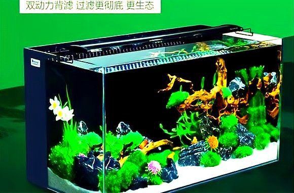 買水族箱還是玻璃魚缸