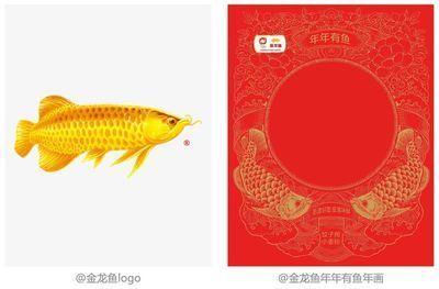金龍魚圖案設計說明（金龍魚圖案設計在不同領域的應用）