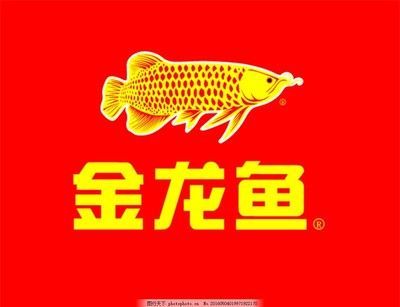 金龍魚圖案設計說明（金龍魚圖案設計在不同領域的應用）